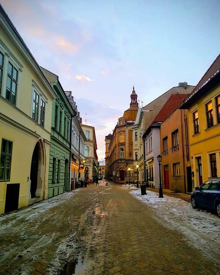 Old Town Vintage Apartment Sturova Kosice Bagian luar foto