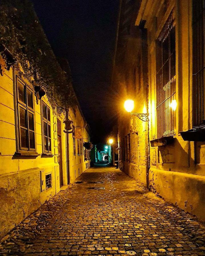 Old Town Vintage Apartment Sturova Kosice Bagian luar foto